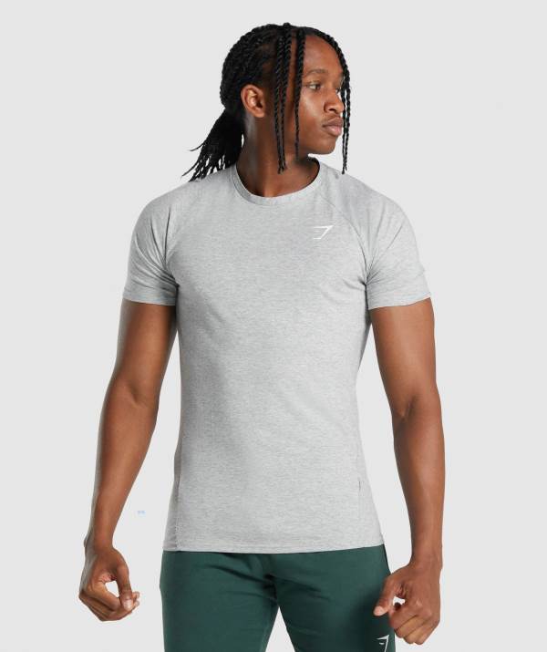 Panske Tricka Gymshark Critical 2.0 Svetlo Siva | HN8756041